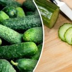Agurker bliver ikke bløde, selv ikke i en salat: Én