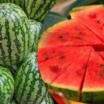 Du kan spise den hele vinteren: Sådan fryser du vandmelon
